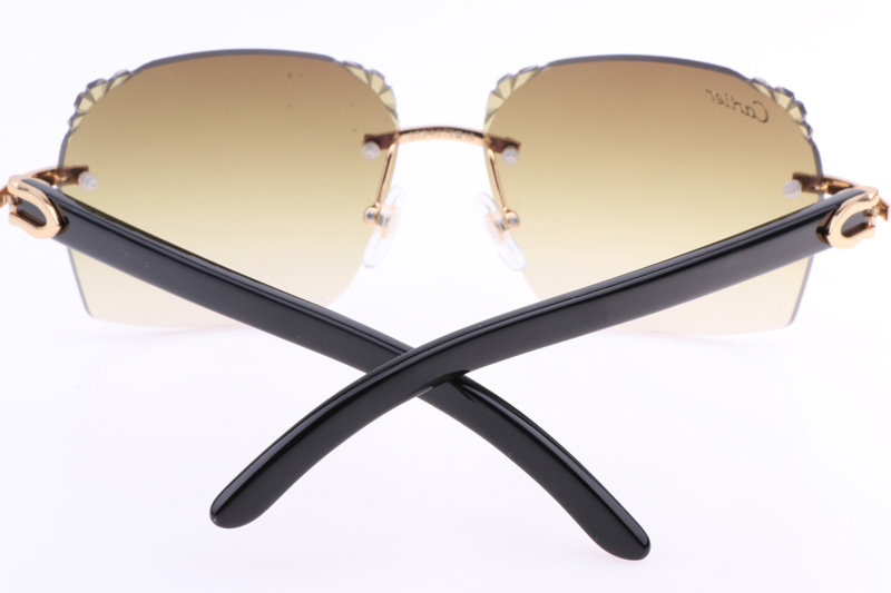 CT 8300818 Engrave Lens Black Buffalo Sunglasses In Gold Brown