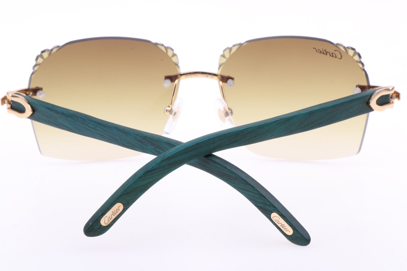 CT 8300818 Engrave Lens Green Wood Sunglasses In Gold Brown