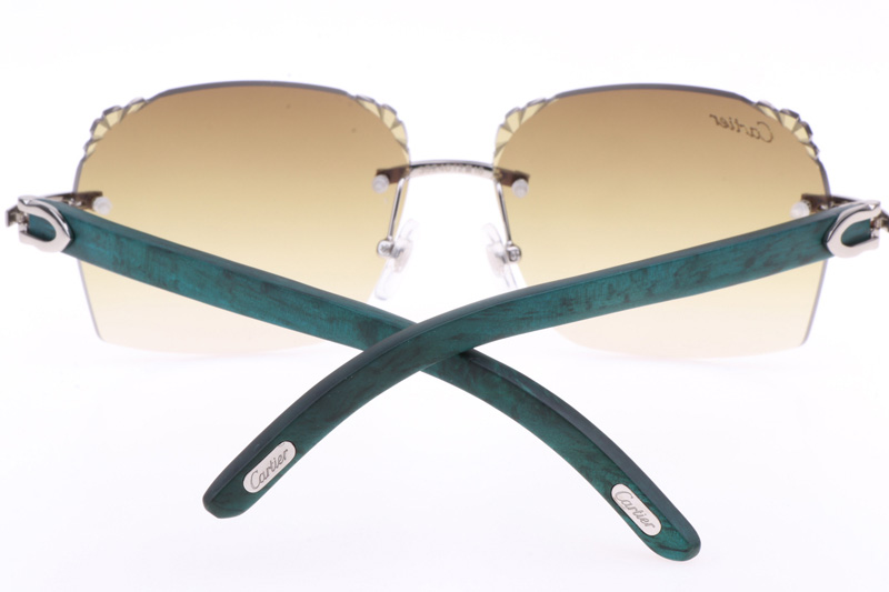 CT 8300818 Engrave Lens Green Wood Sunglasses In Silver Brown