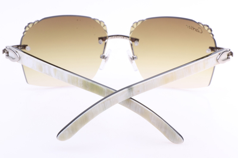 CT 8300818 Engrave Lens White Mix Black Buffalo Sunglasses In Silver Brown
