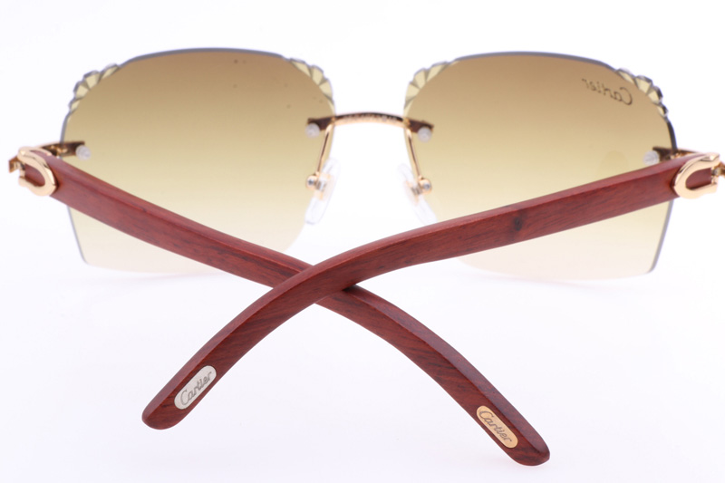 CT 8300818 Engrave Lens Wood Sunglasses In Gold Brown