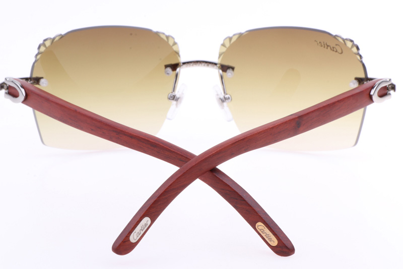 CT 8300818 Engrave Lens Wood Sunglasses In Silver Brown