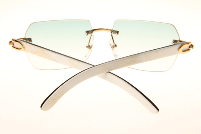 CT 8300818 White Mix Black Buffalo Sunglasses In Gold Gradient Green