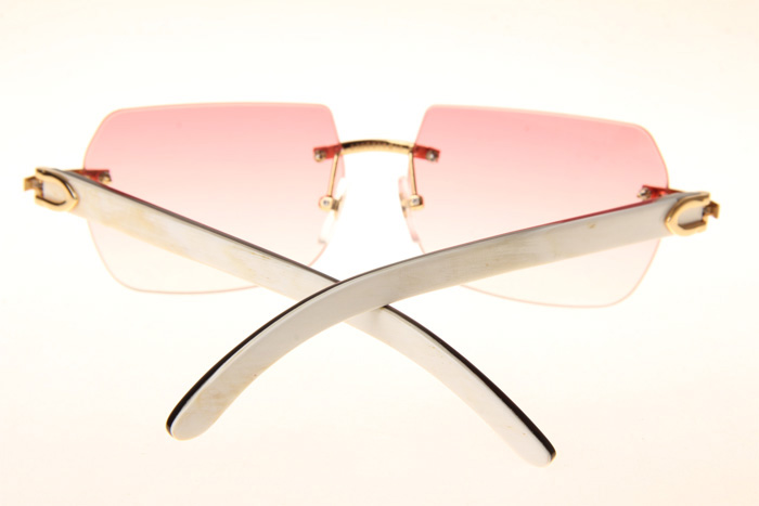 CT 8300818 White Mix Black Buffalo Sunglasses In Gold Gradient Pink