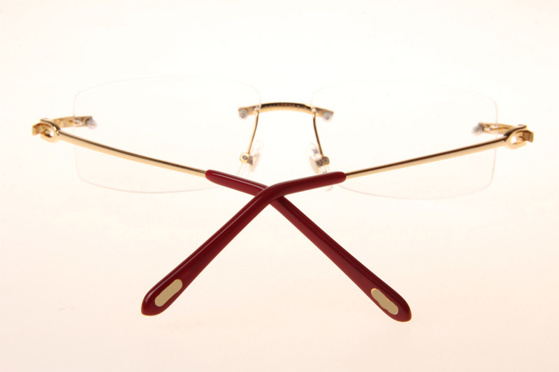 CT T8100686 Eyeglasses In Gold