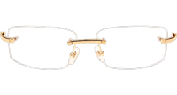 CT T8100686 Eyeglasses In Gold