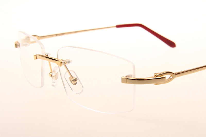 CT T8100686 Eyeglasses In Gold