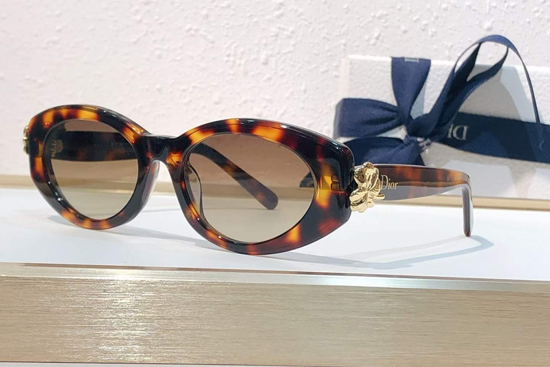 Clover B1F Sunglasses Tortoise Gradient Brown