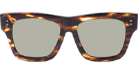 DT CREATOR Sunglasses In Brown
