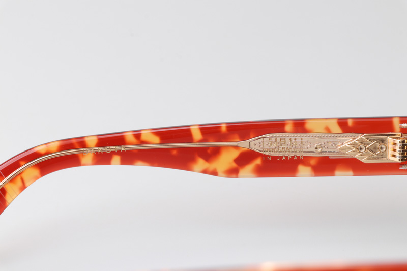 Dakota Sunglasses Tortoise Gradient Brown