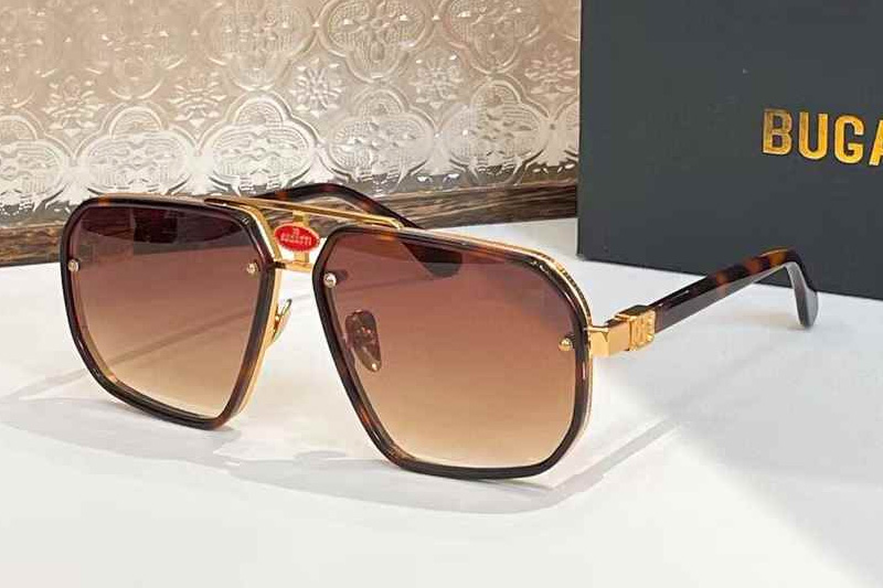 EB13 Sunglasses Tortoise Gradient Brown