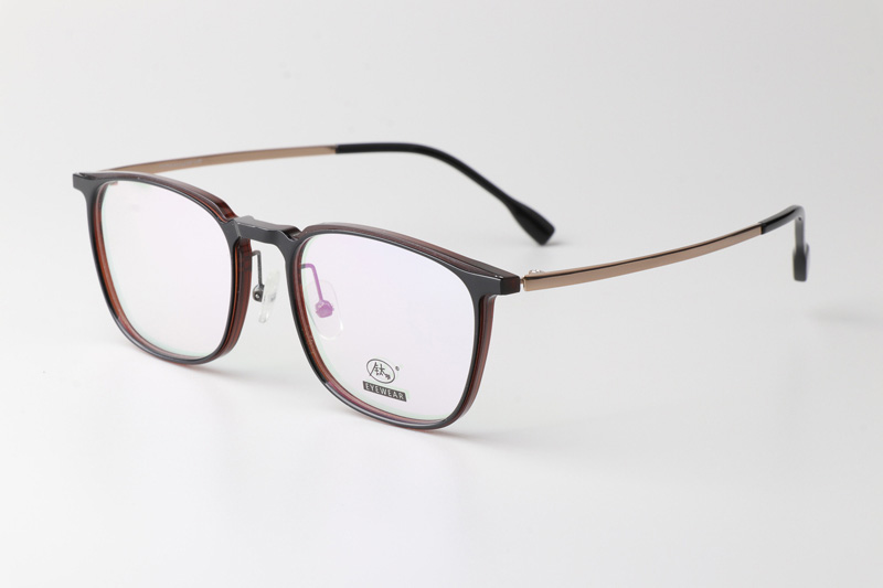 F4050-B Eyeglasses Black Brown Gold