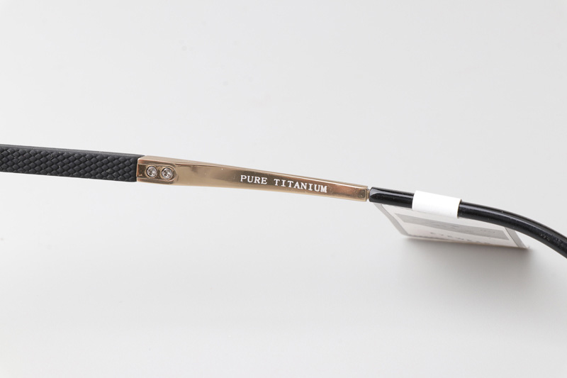 F8810 Eyeglasses Black Gold