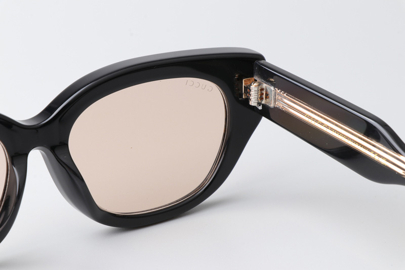 GG1532SA Sunglasses Black Light Brown
