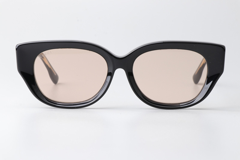 GG1532SA Sunglasses Black Light Brown