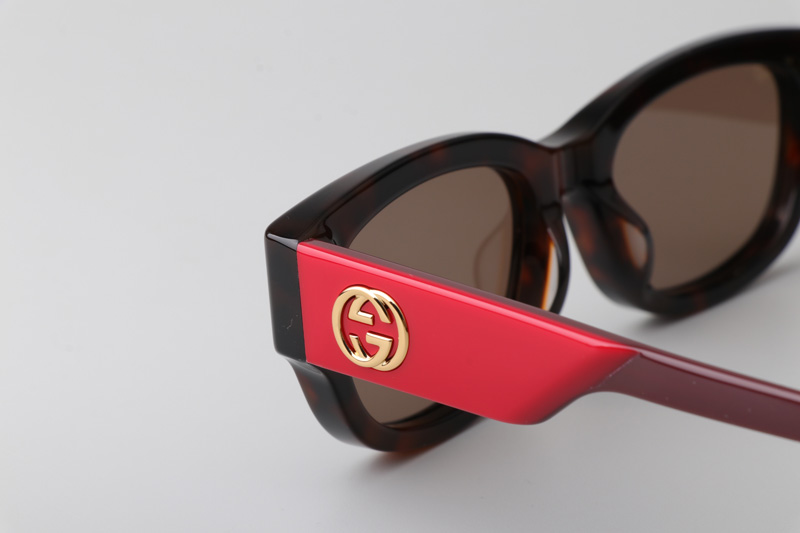 GG1667S Sunglasses Tortoise Red Brown