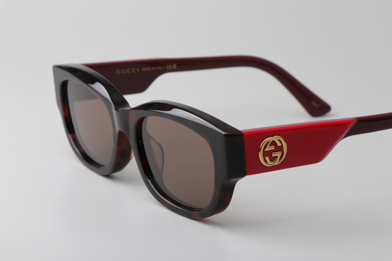 GG1667S Sunglasses Tortoise Red Brown