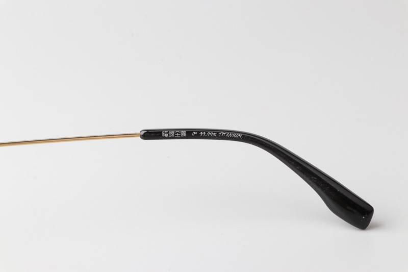 GJ2013 Eyeglasses Black Gold