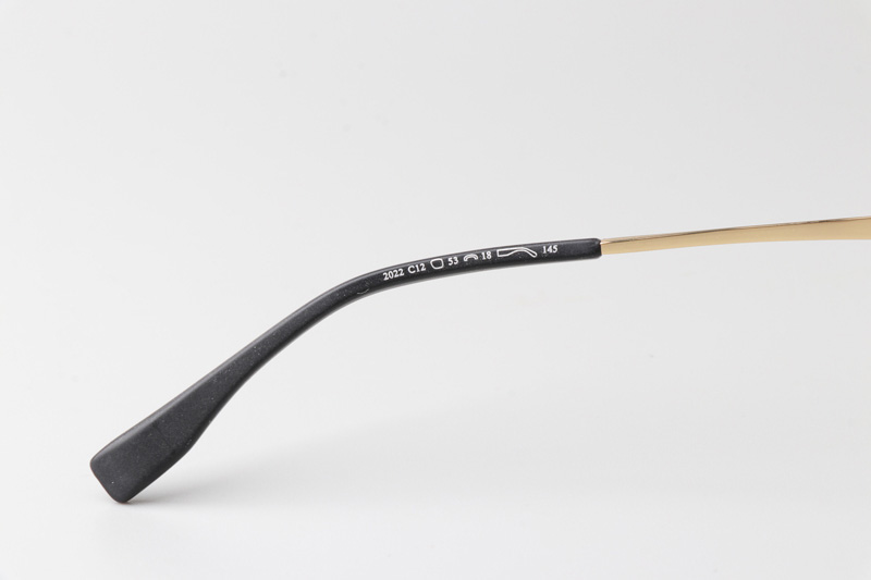 GJ2022 Eyeglasses Black Gold