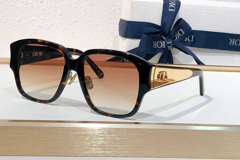 Glow S2F Sunglasses Tortoise Gradient Brown