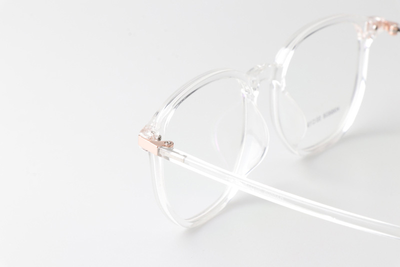 HX6608 Eyeglasses Transparent