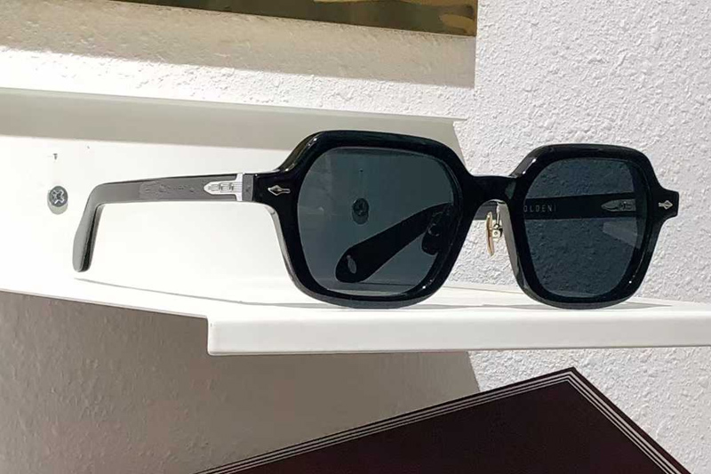 Holden Sunglasses Black Gray