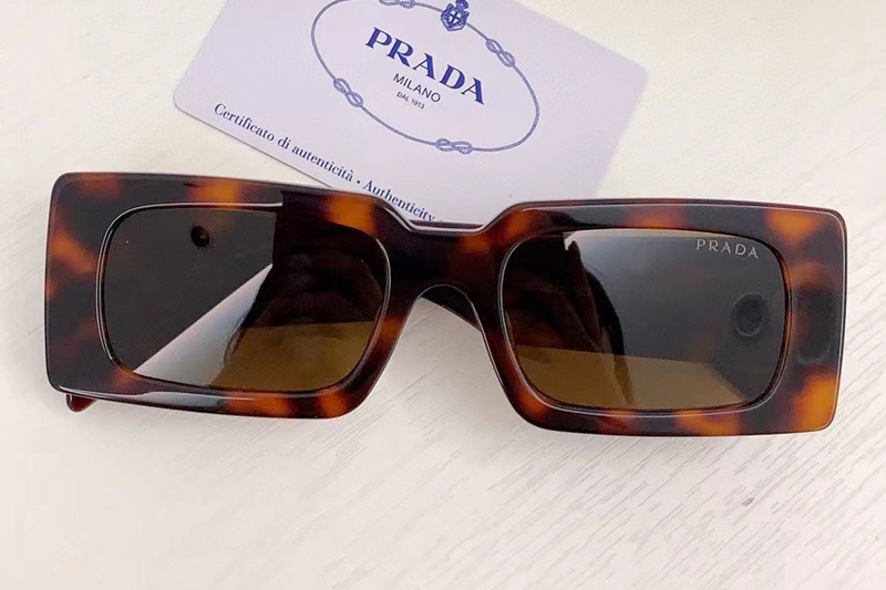 OPR07S Sunglasses In Tortoise