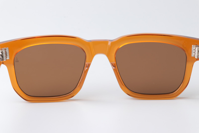 Plaza Sunglasses Brown Brown