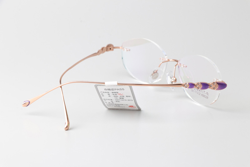 RS20009 Eyeglasses Rose Gold