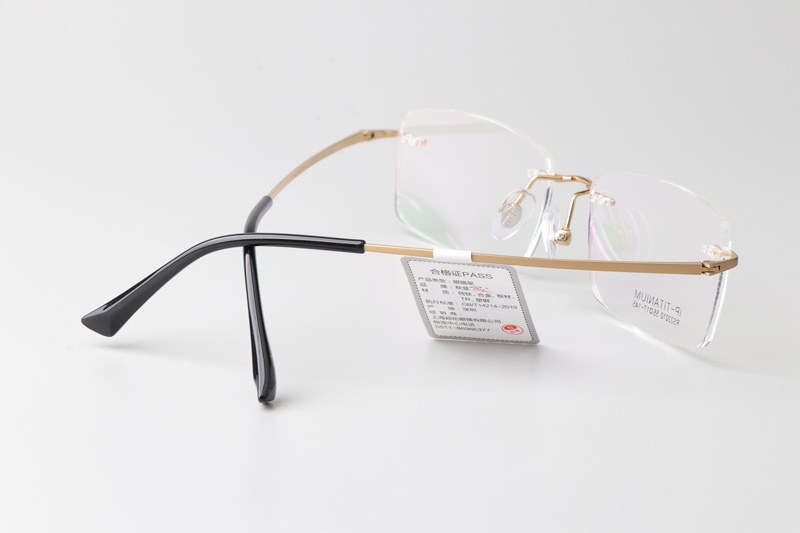 RS22010 Eyeglasses Gold