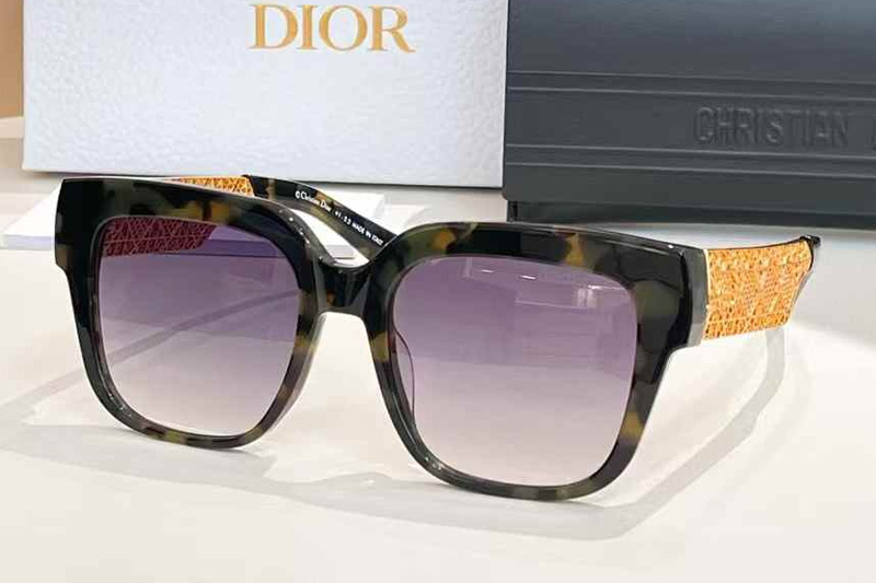 Resille S1I Sunglasses Tortoise Gradient Gray