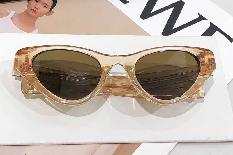 SLM144 Sunglasses Transparent Brown Brown