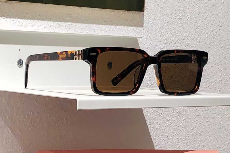 SMU13ZS Sunglasses Tortoise Brown