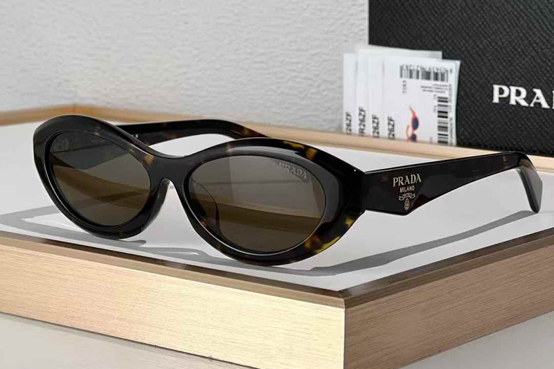 SPR26Z Sunglasses Tortoise Brown