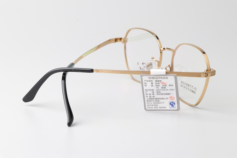 SS98010 Eyeglasses Black Gold