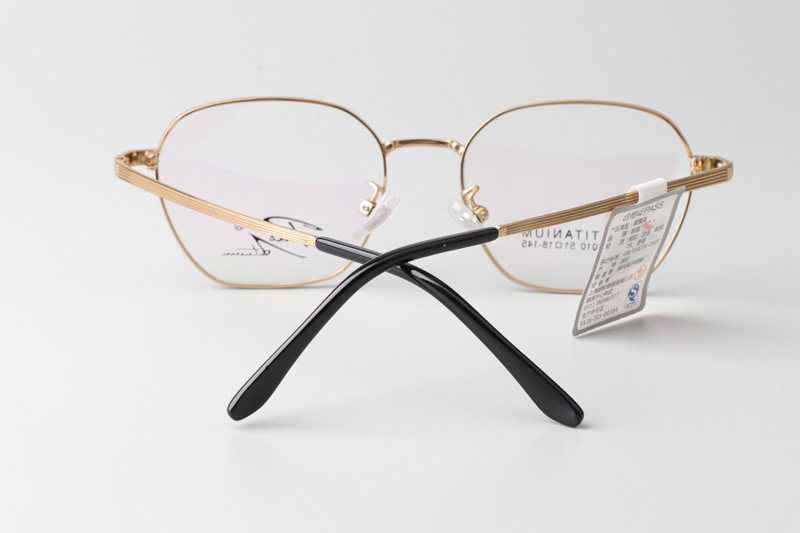 SS98010 Eyeglasses Black Gold