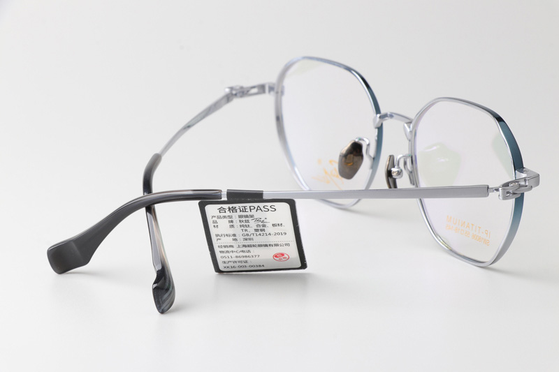 SW18006 Eyeglasses Blue Silver