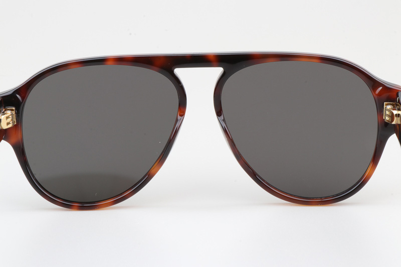 Signature A1U Sunglasses Tortoise Gray