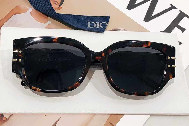 Signature S13F Sunglasses Tortoise Gray