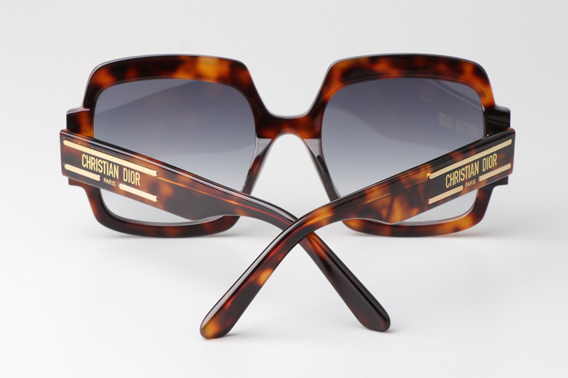 Signature S1U Sunglasses Tortoise Gradient Gray