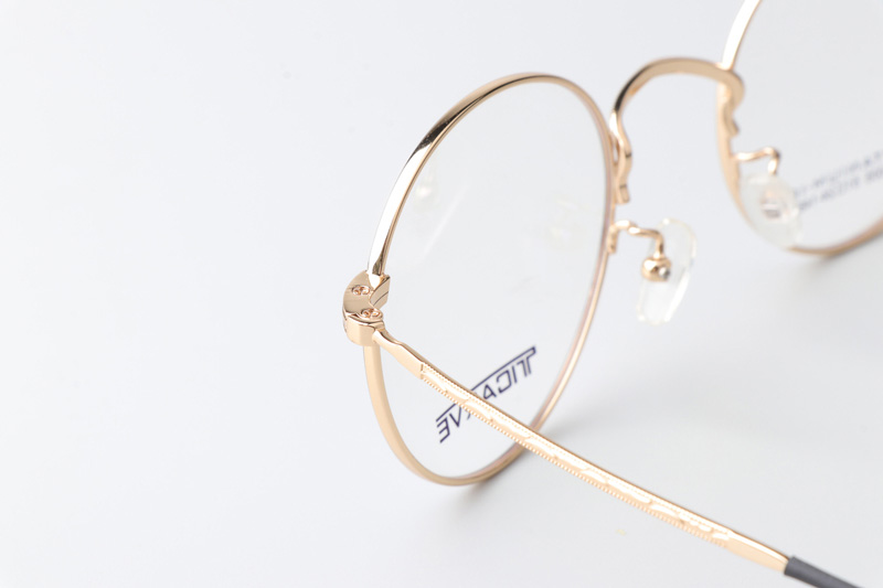 TC1005 Eyeglasses Black Gold