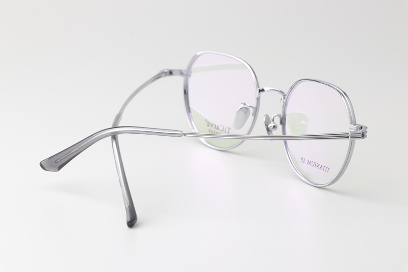 TC22192 Eyeglasses Silver