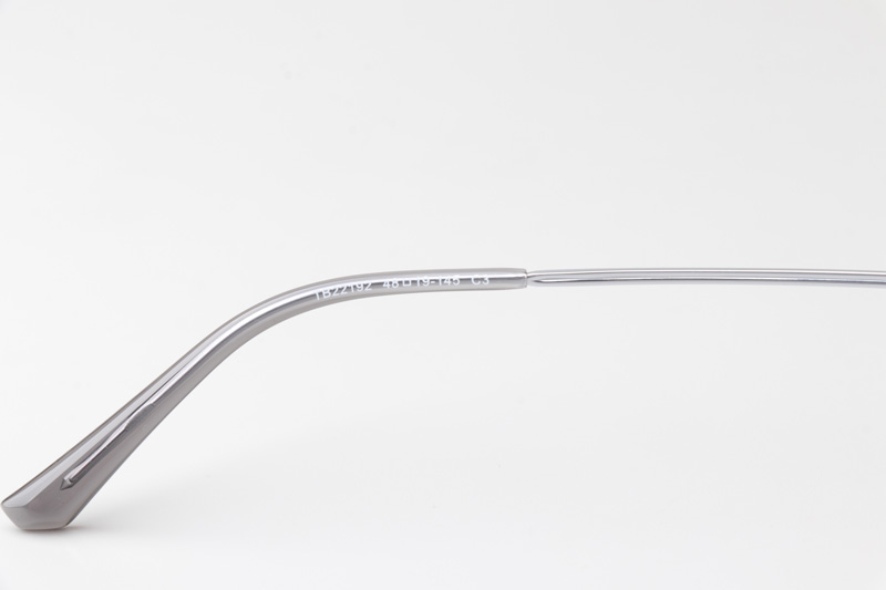 TC22192 Eyeglasses Silver
