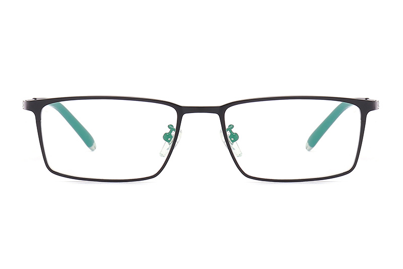 TC8101 Eyeglasses Black
