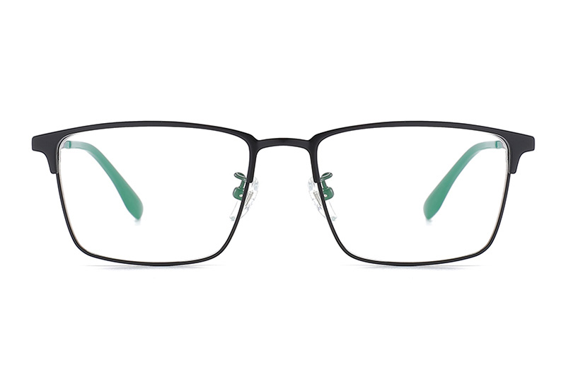 TC8113 Eyeglasses Black