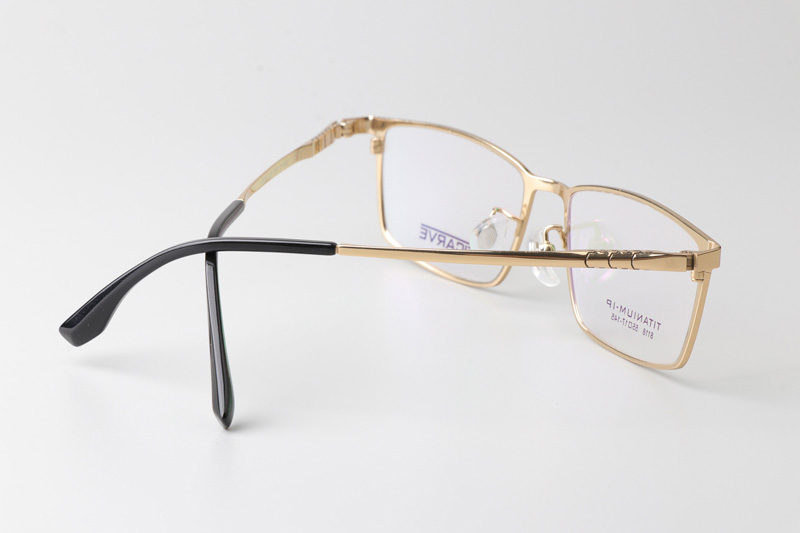 TC8118 Eyeglasses Gold
