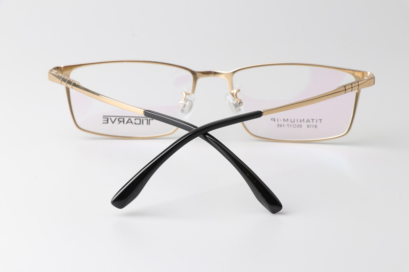 TC8118 Eyeglasses Gold