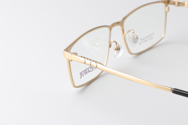 TC8118 Eyeglasses Gold