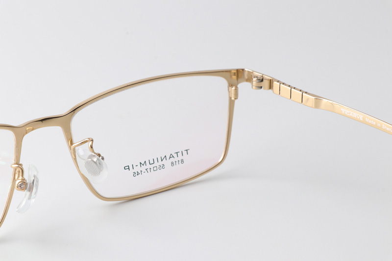 TC8118 Eyeglasses Gold