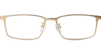 TC8118 Eyeglasses Gold